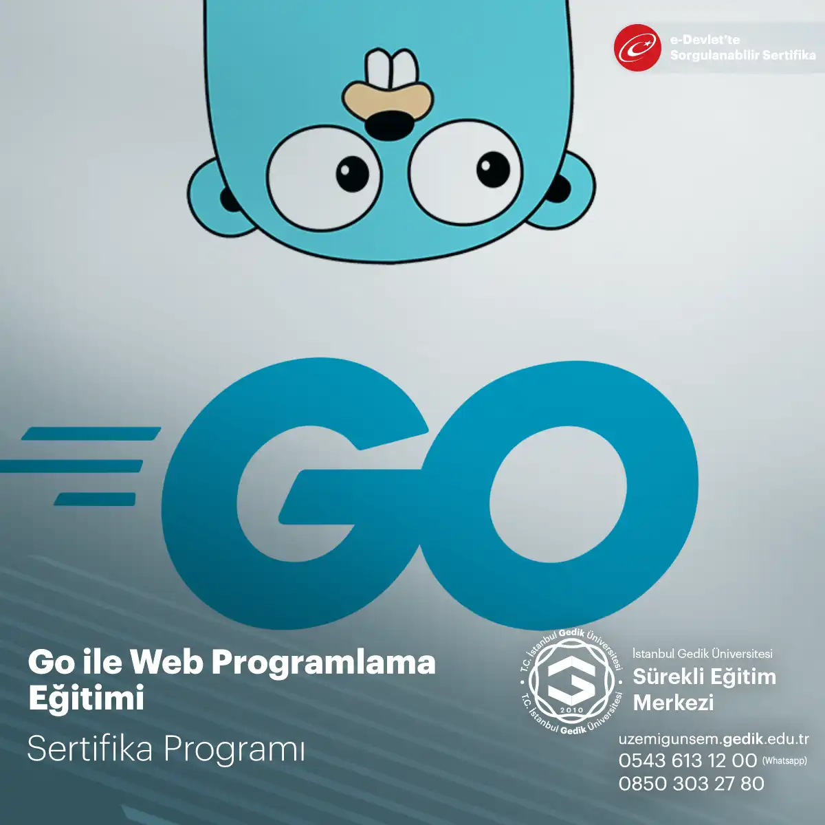 Go ile Web Programlama Eğitimi Sertifika Programı